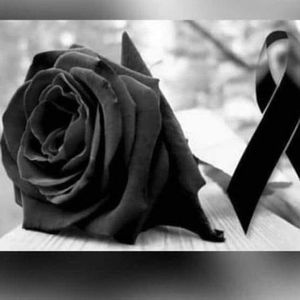 Meet your Posher, El chele darcy